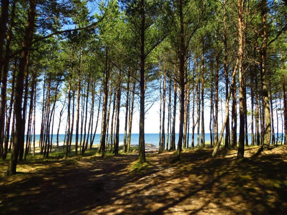 Domki Wczasowe Mielenko Luaran gambar